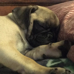 Meet your Posher, Matt